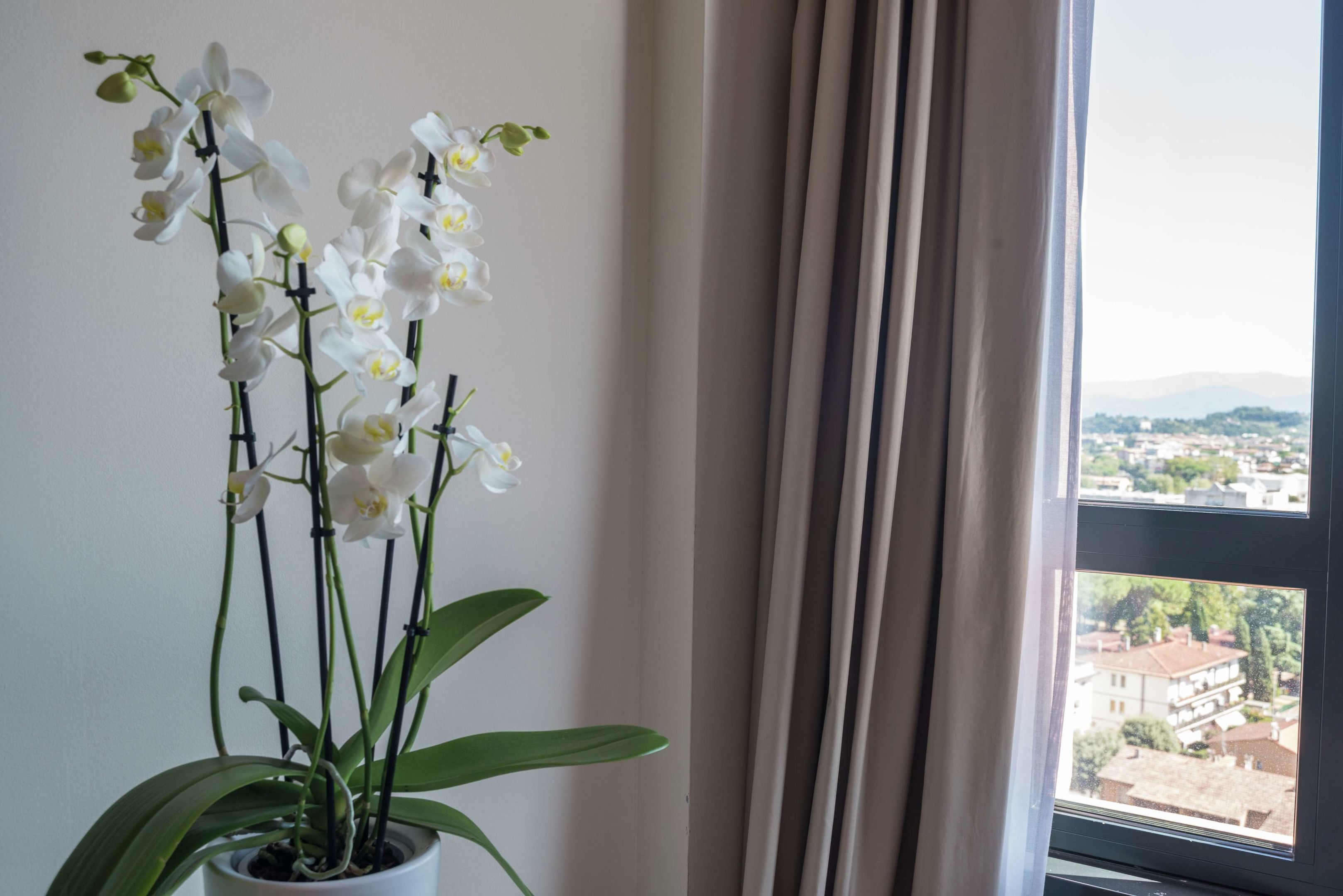 DoubleTree by Hilton Florence Metropole foto 132