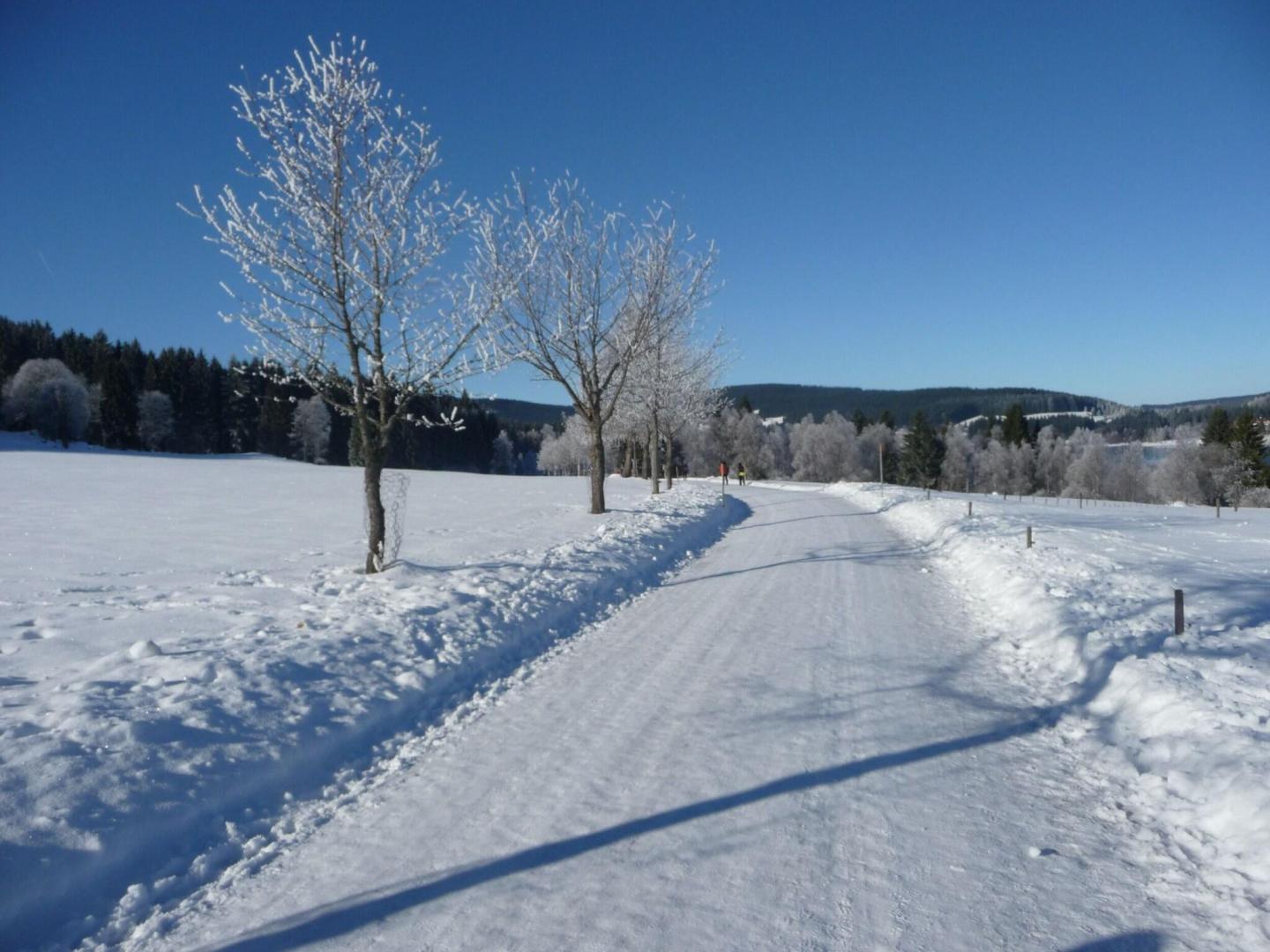 Bio- und Wellnesshotel Alpenblick foto 33