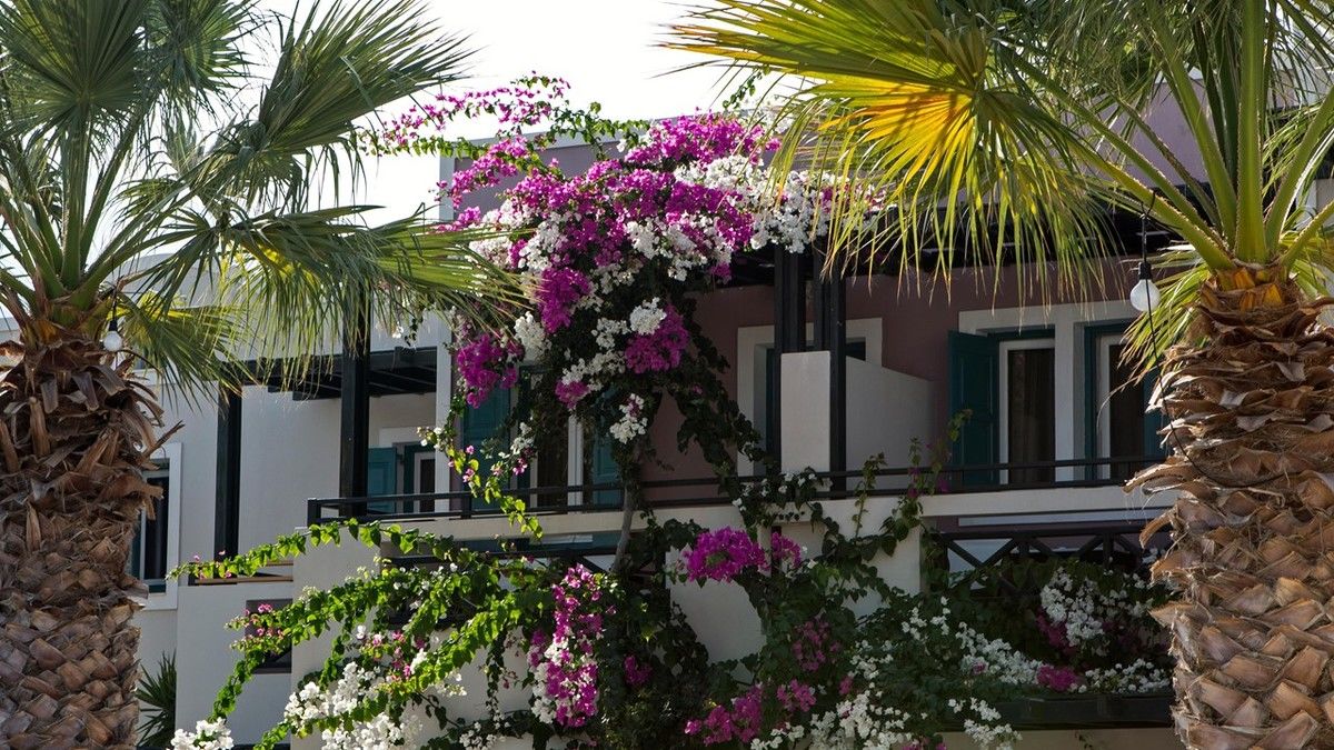 Rose Bay Hotel foto 25