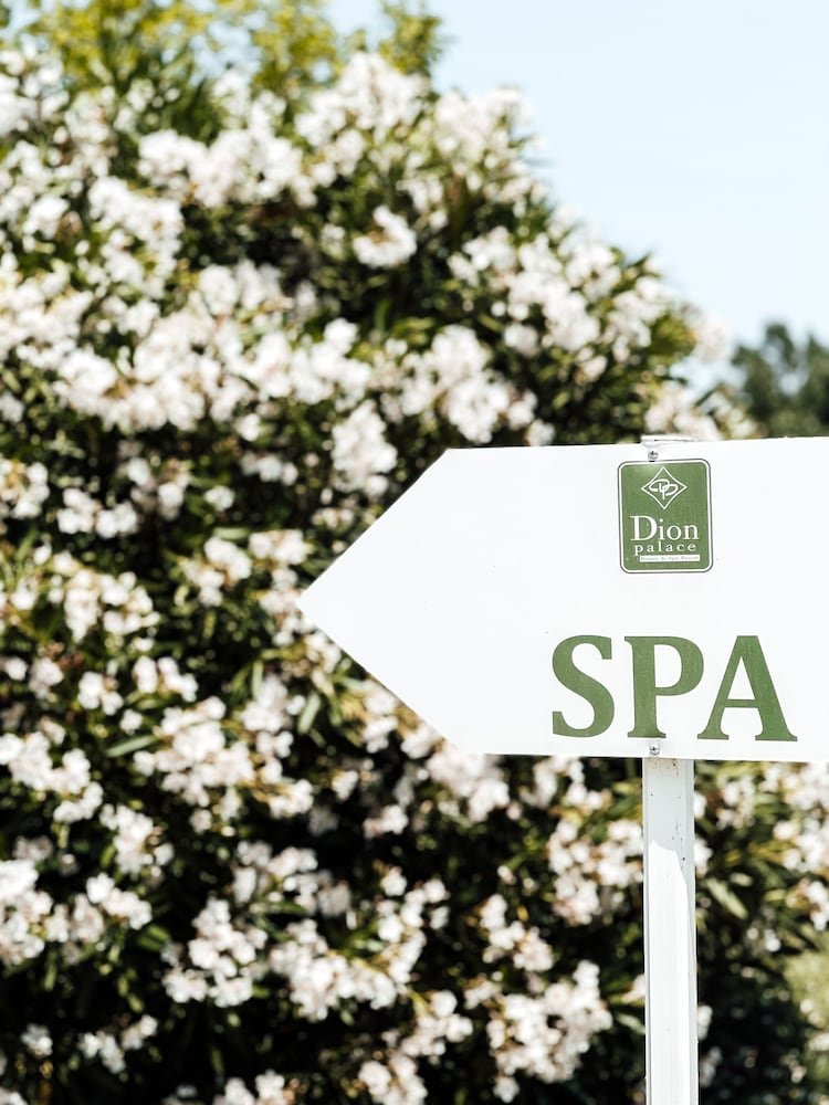 Dion Palace Resort & Spa foto 27