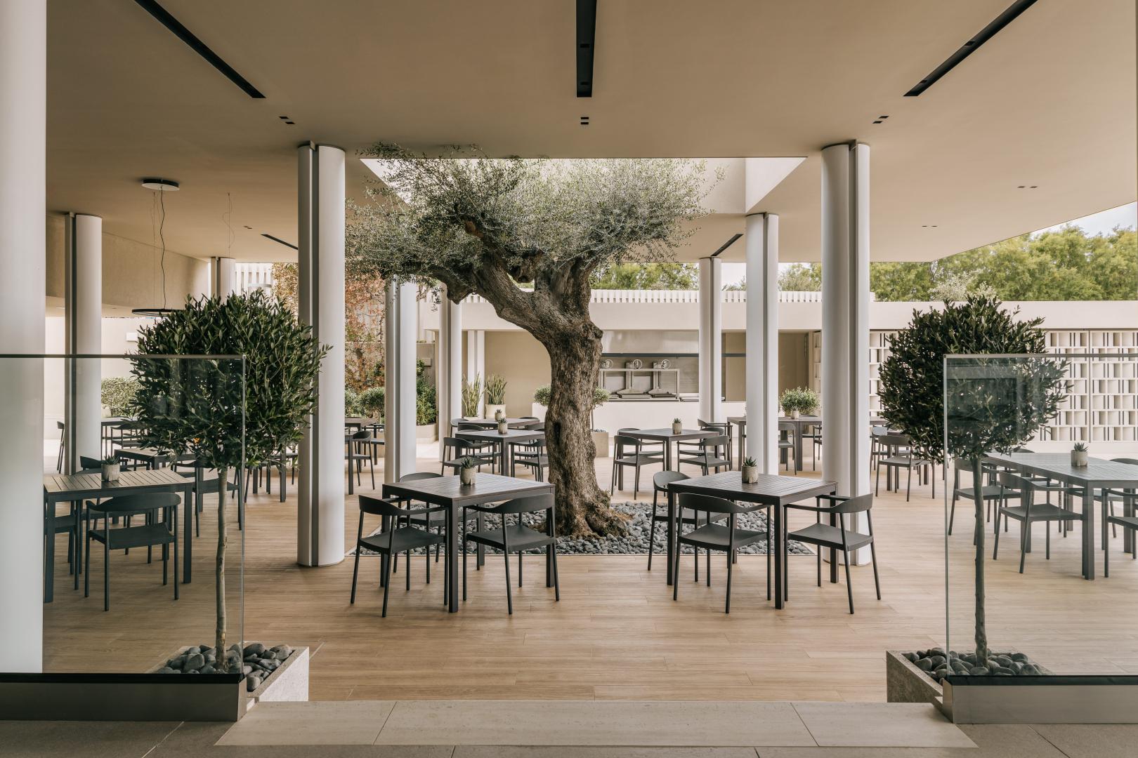 Divani Apollon Palace & Thalasso foto 38