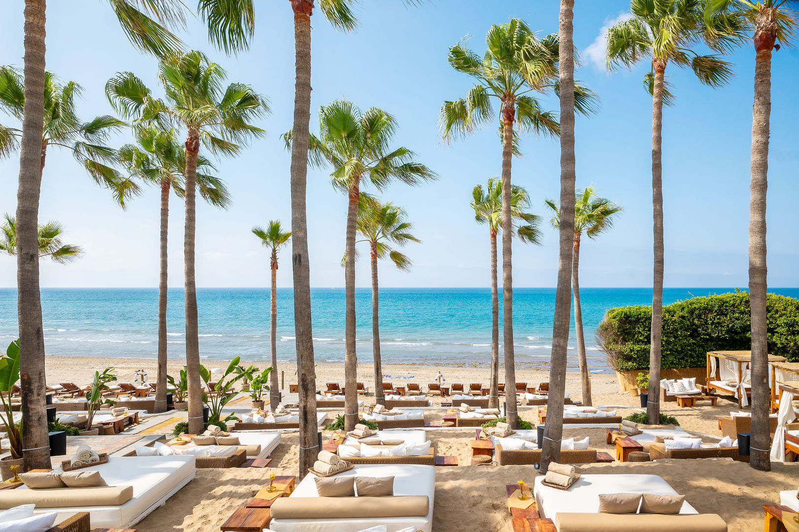 Don Carlos Resort & Spa image 2