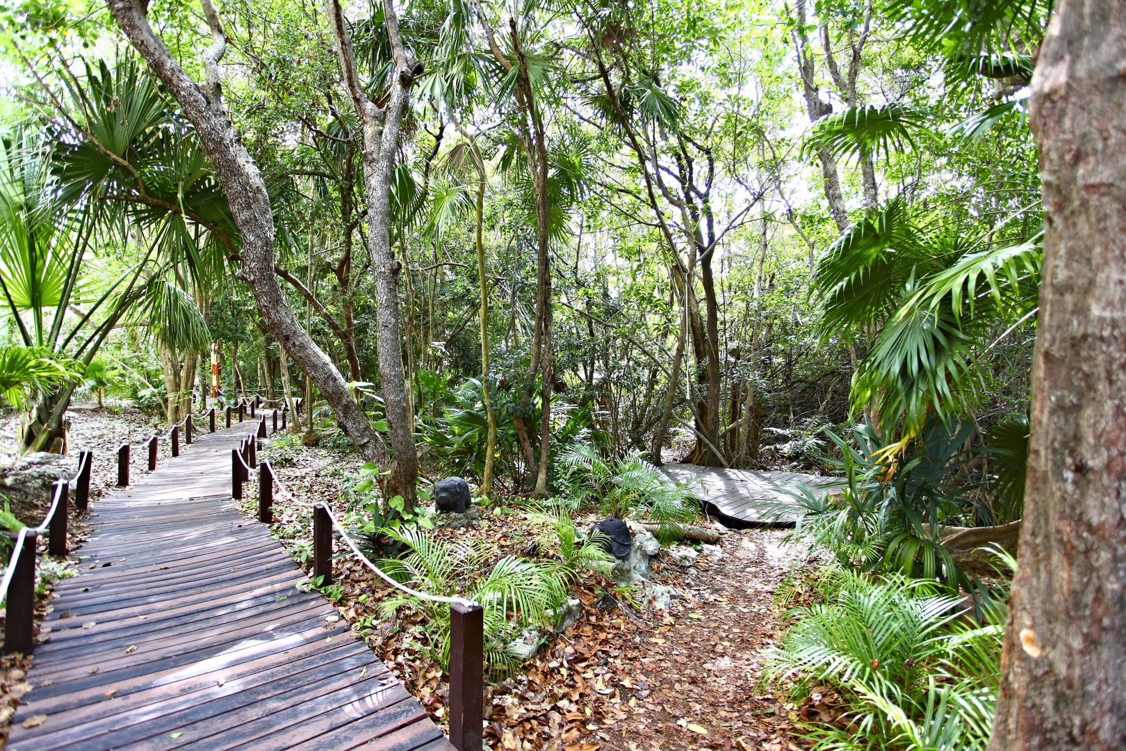 Sandos Caracol Nature Resort & Water Park foto 69