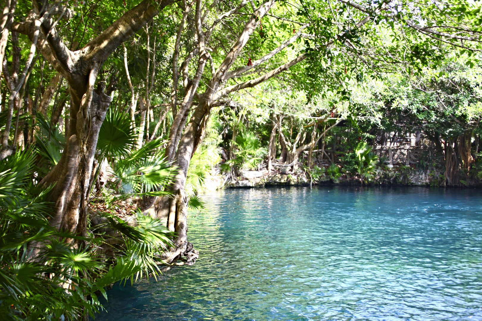 Sandos Caracol Nature Resort & Water Park foto 153