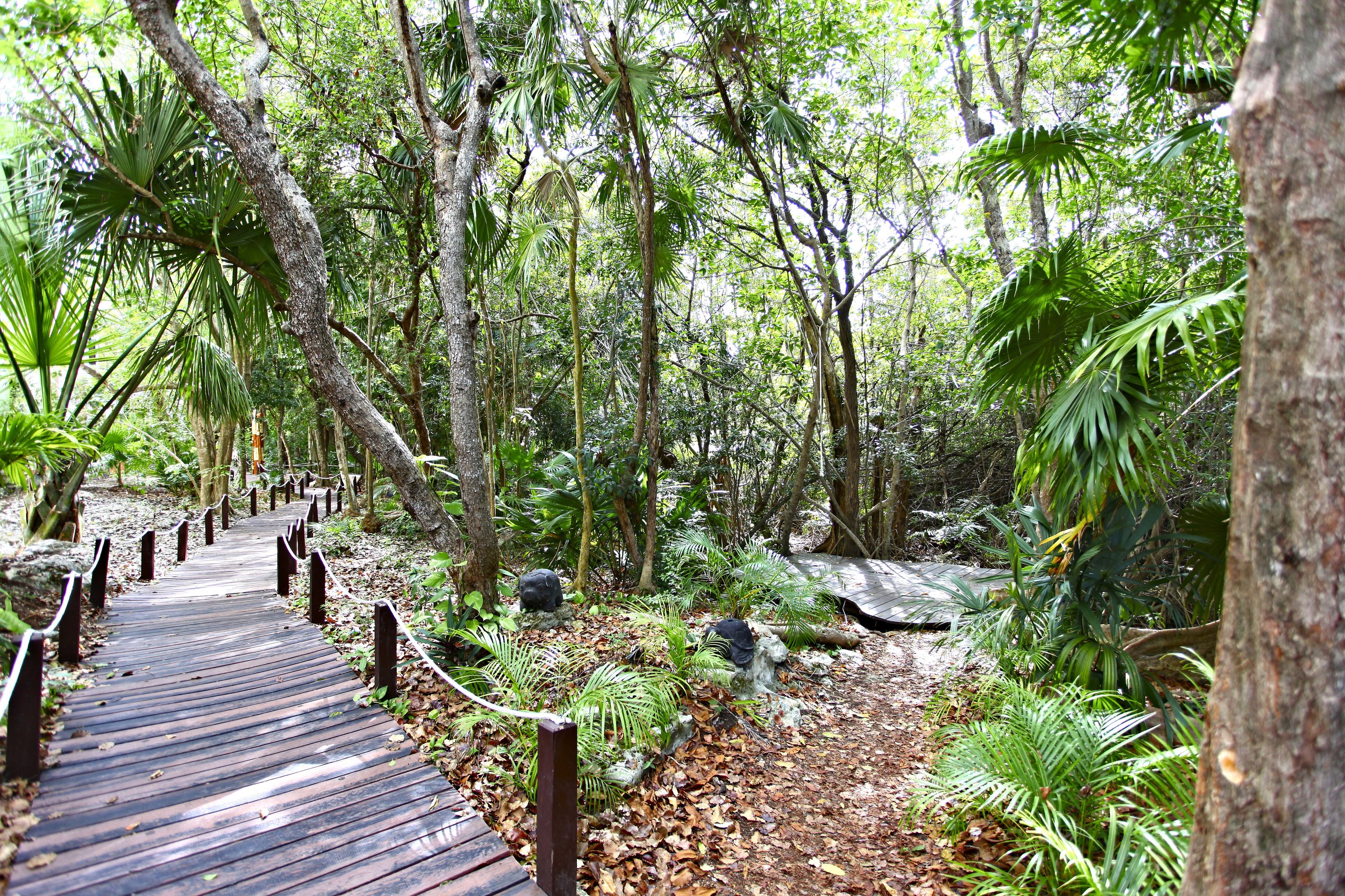 Sandos Caracol Nature Resort & Water Park foto 70