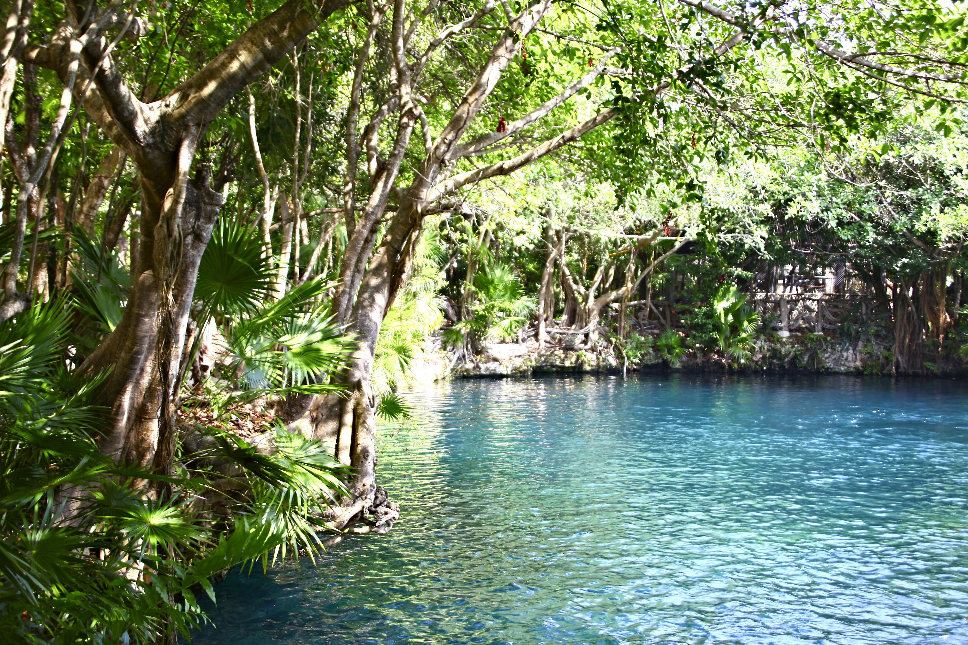 Sandos Caracol Nature Resort & Water Park foto 154
