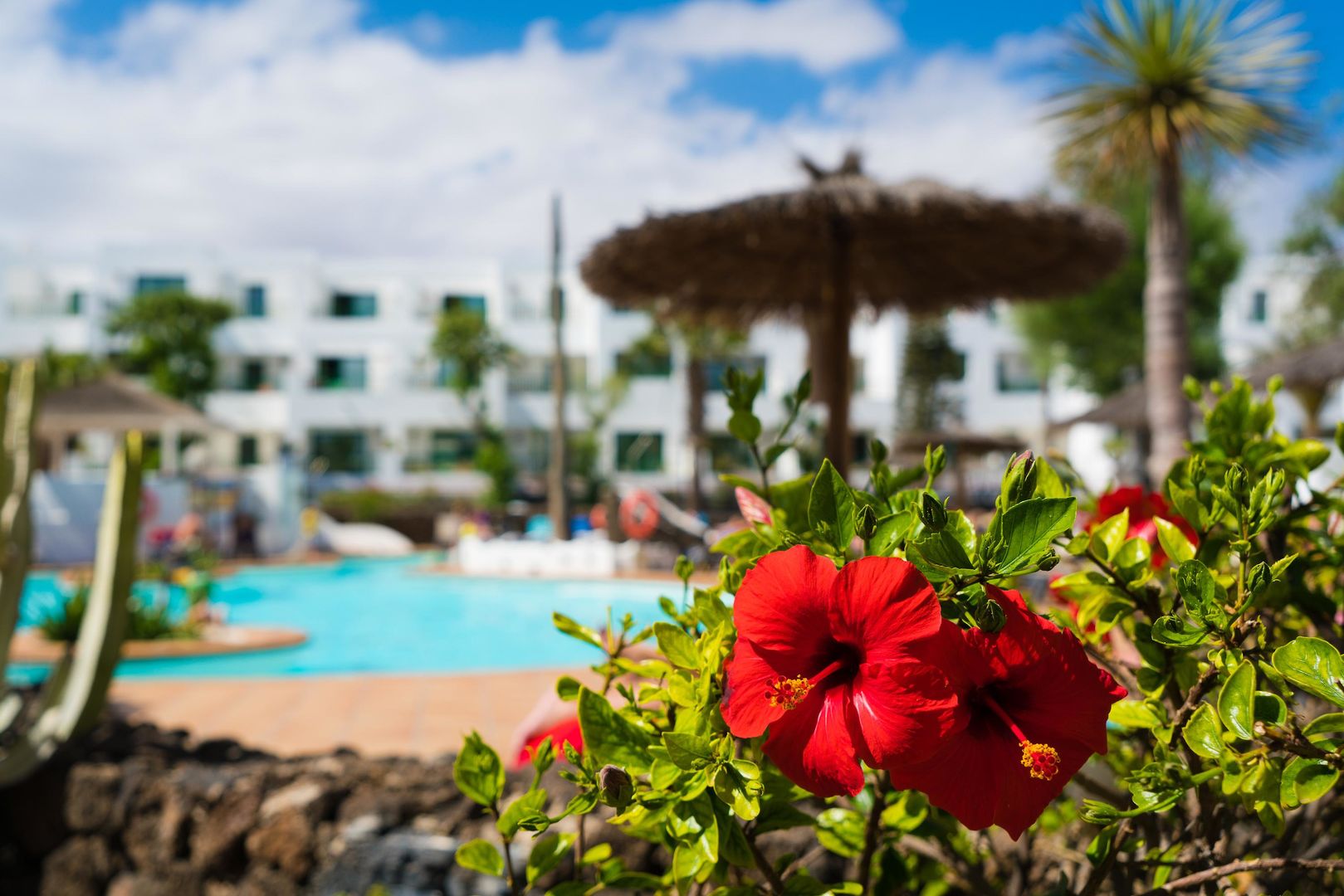 Galeón Playa by SeaSense Hotels foto 50