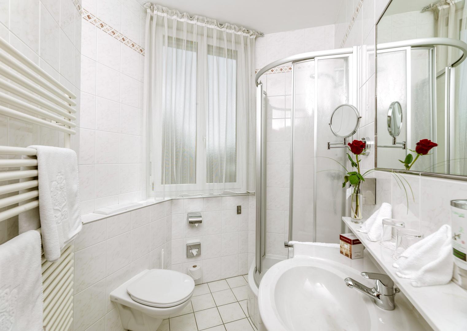 Hotel Erzherzog Rainer foto 19