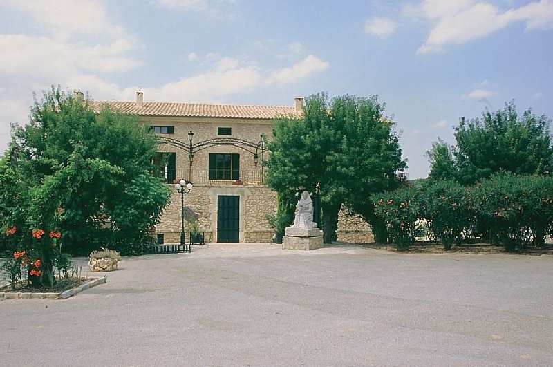 Es Figueral Nou image 1