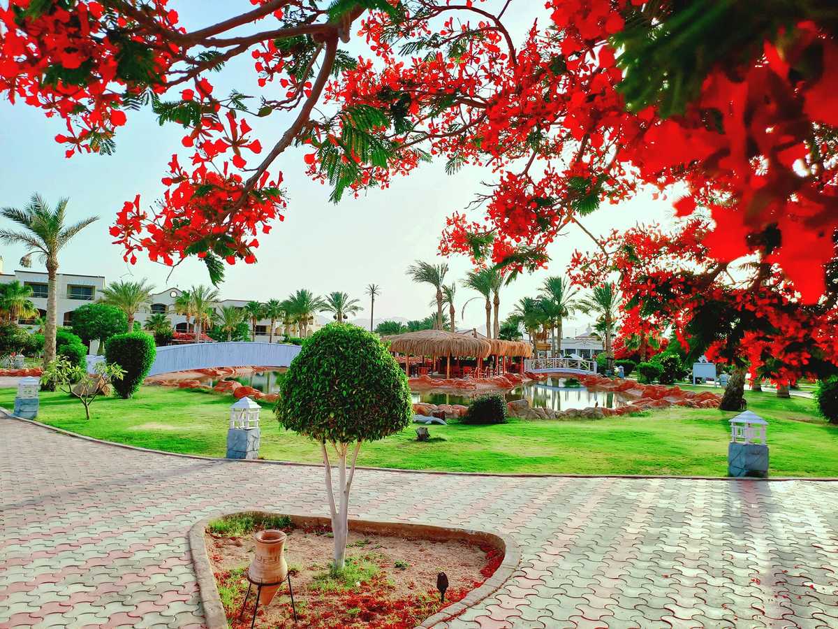 Royal Regency Club foto 41