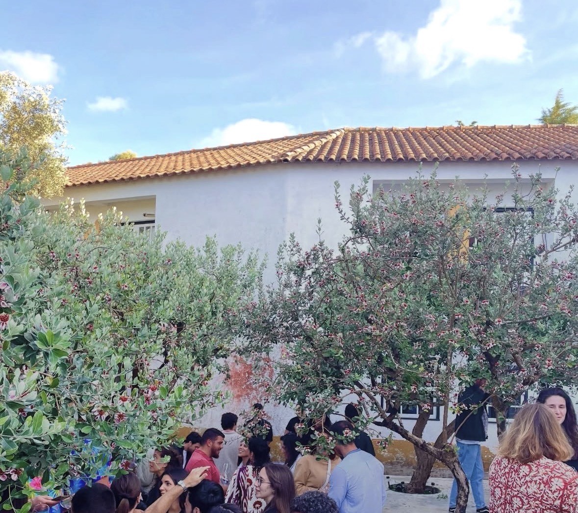 The Literary Man Óbidos Hotel foto 32