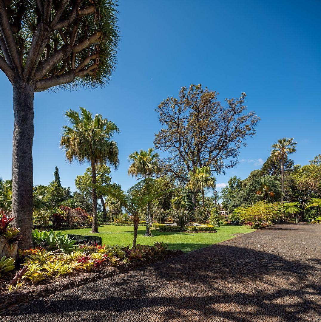 Quinta Jardins do Lago foto 13