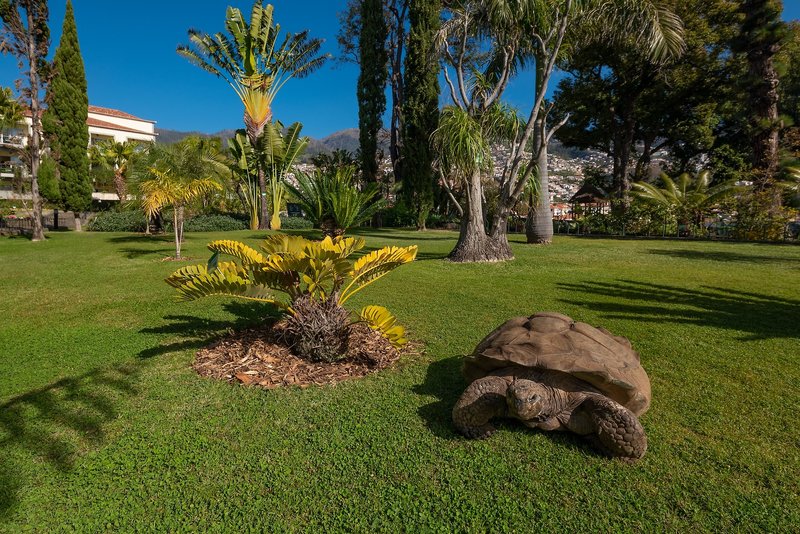 Quinta Jardins do Lago foto 33