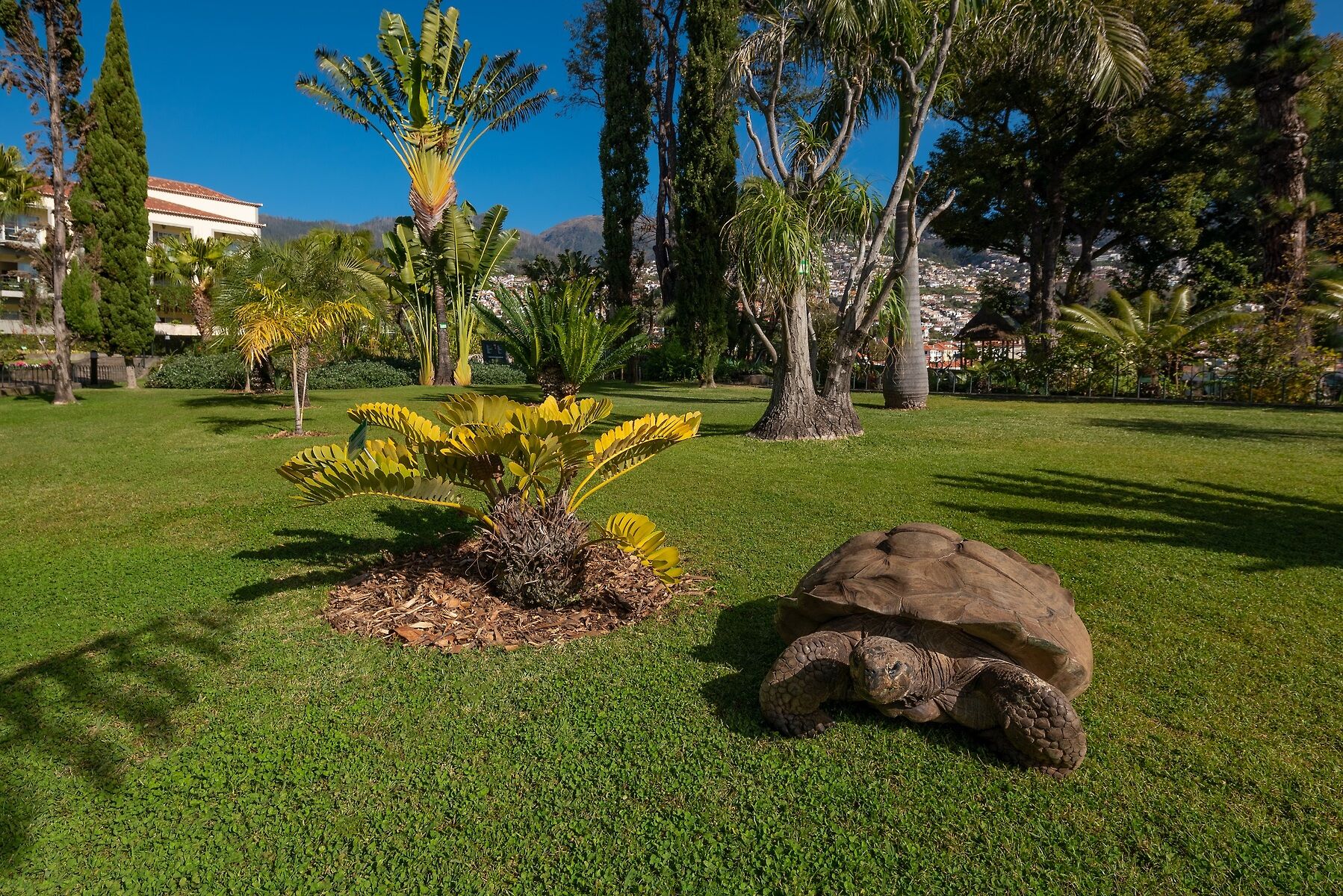 Quinta Jardins do Lago foto 35