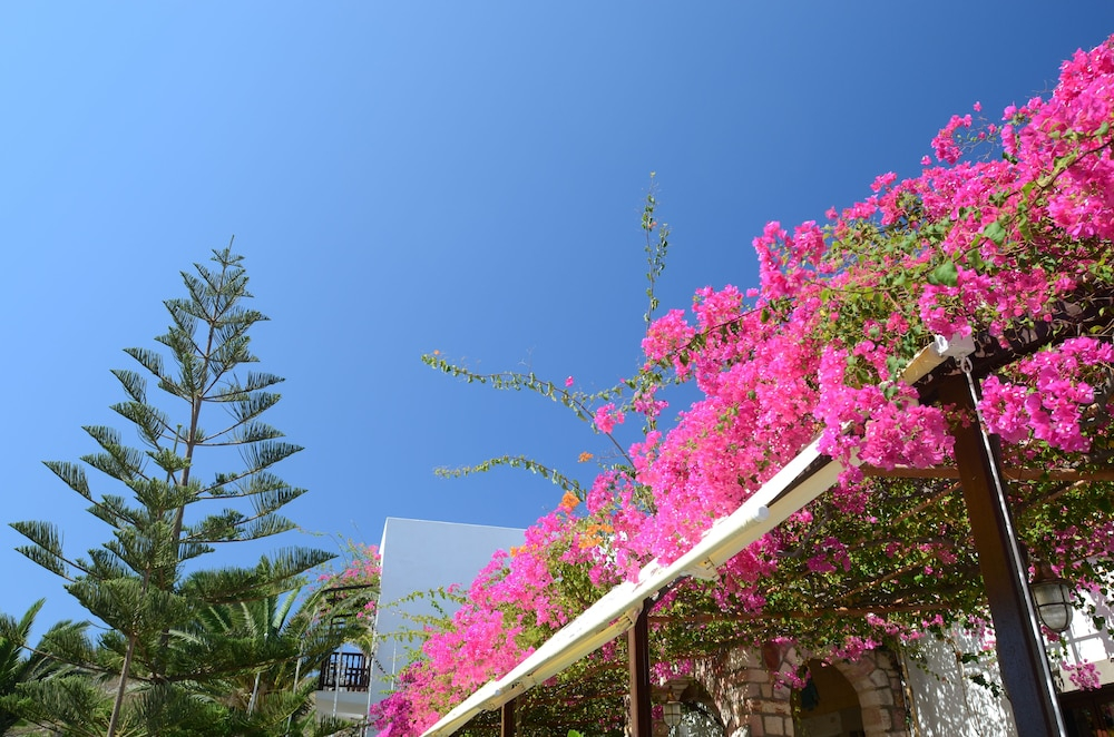 Asteri Hotel Patmos foto 12