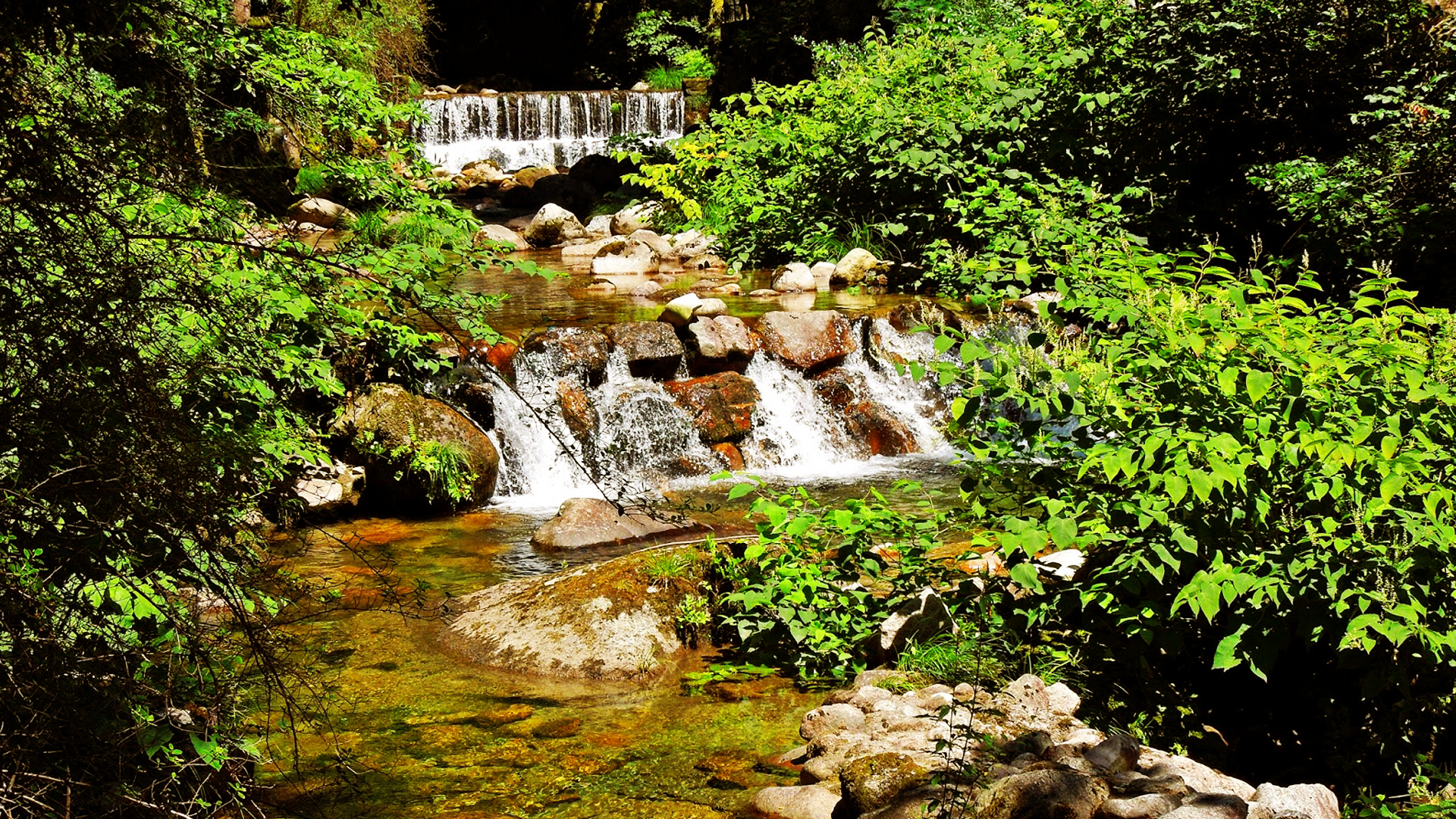 Hotel Agrinho Suites & Spa Gerês foto 16