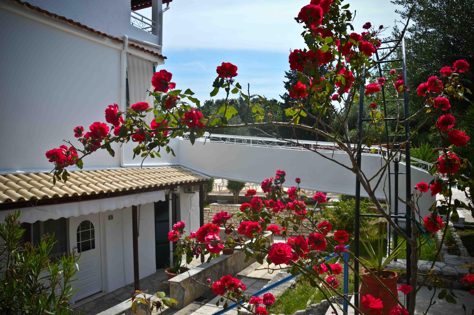 Katia Beach Hotel foto 18