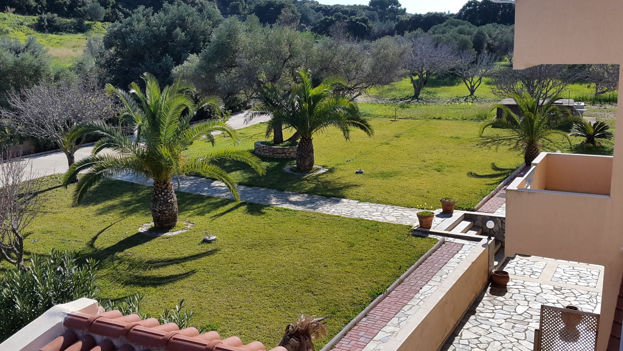 Palatino foto 24