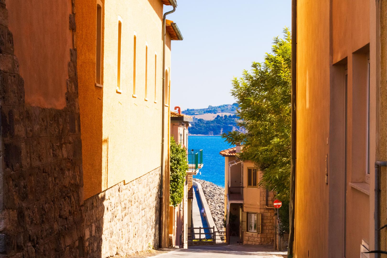 Il Telamonio foto 23