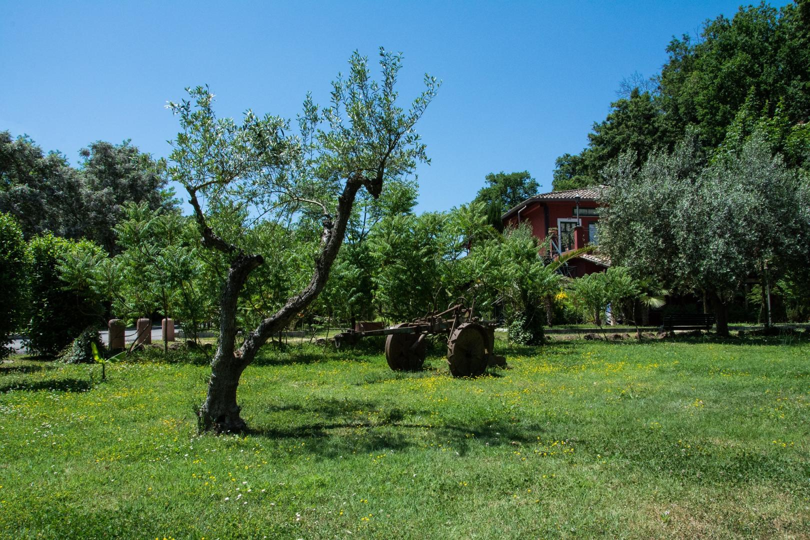 Veio Residence Resort foto 12