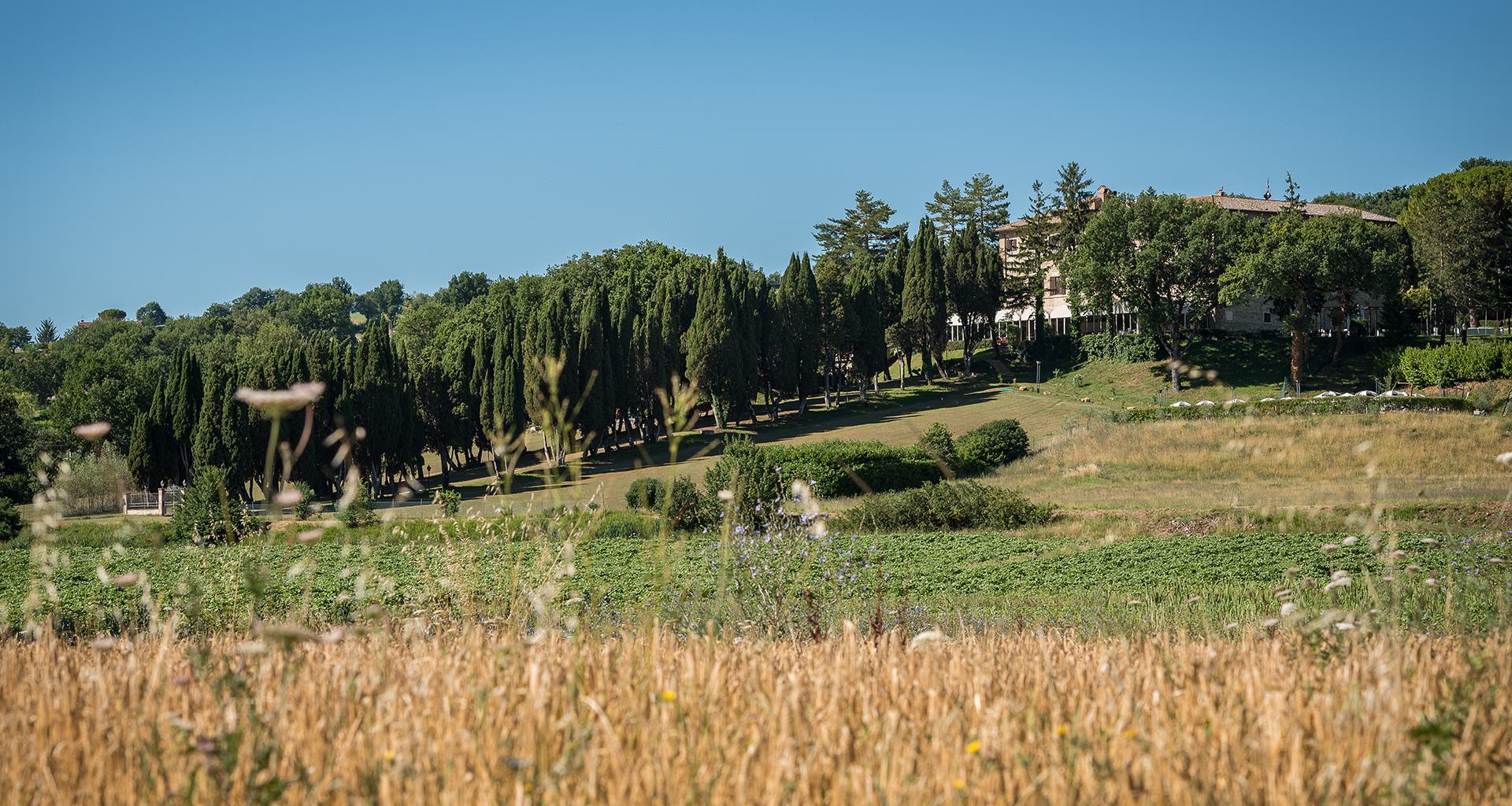 Hotel Villa Montegranelli foto 10