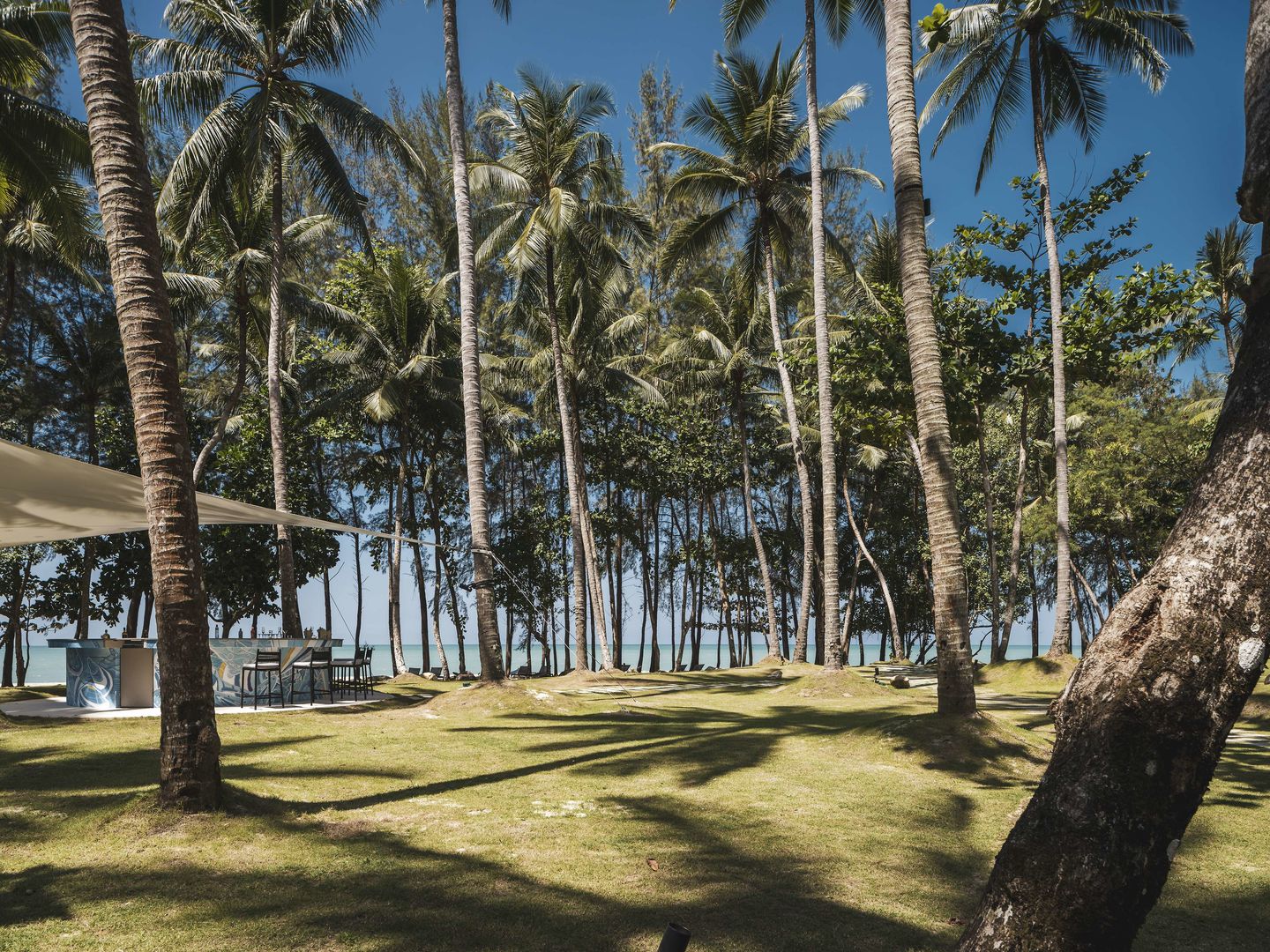 AVANI+ Khao Lak Resort foto 122