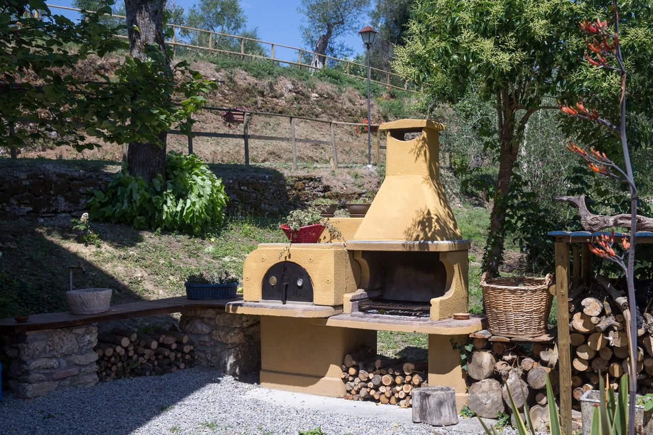Agriturismo Le Anfore foto 6