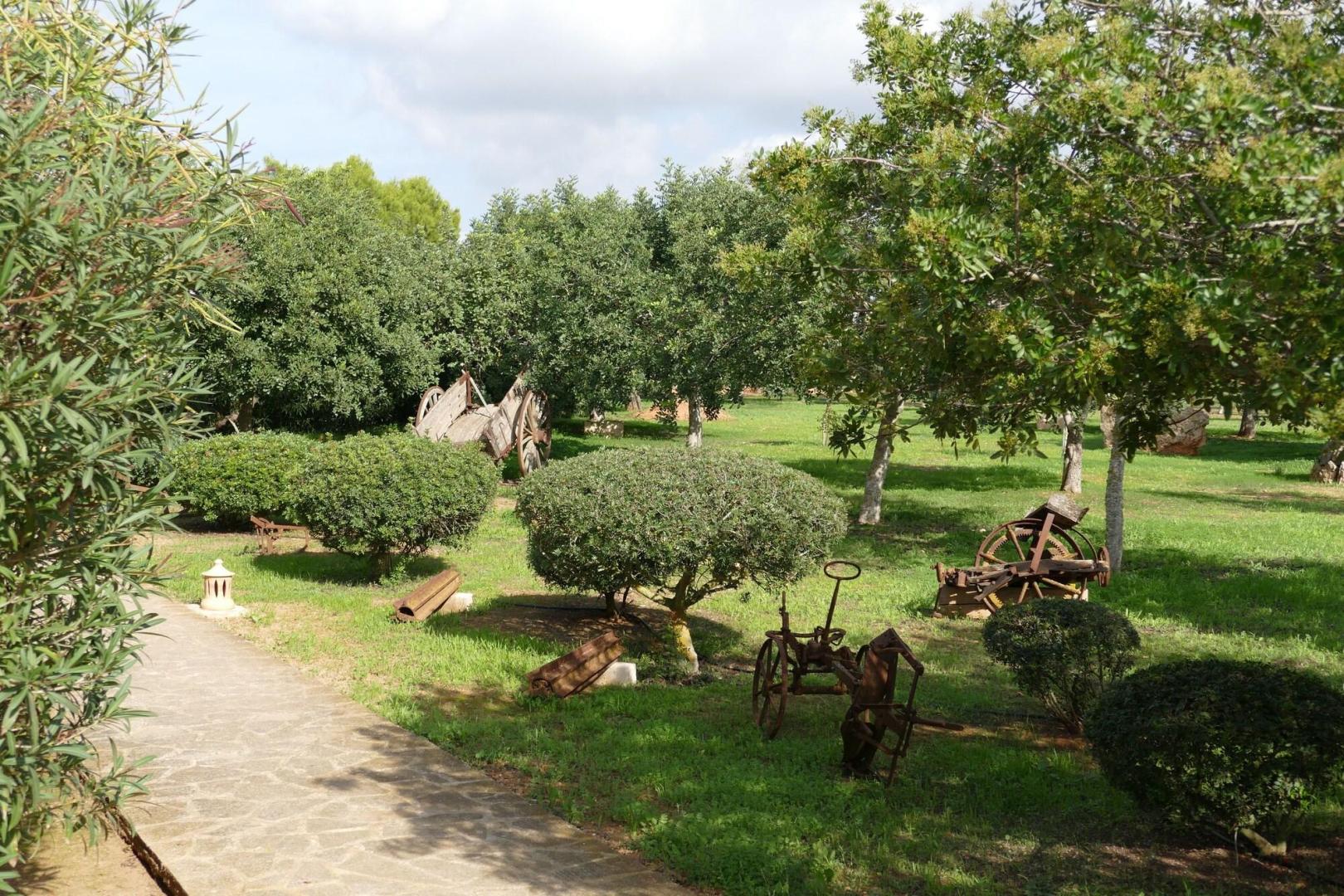Finca Sa Carrotja foto 15