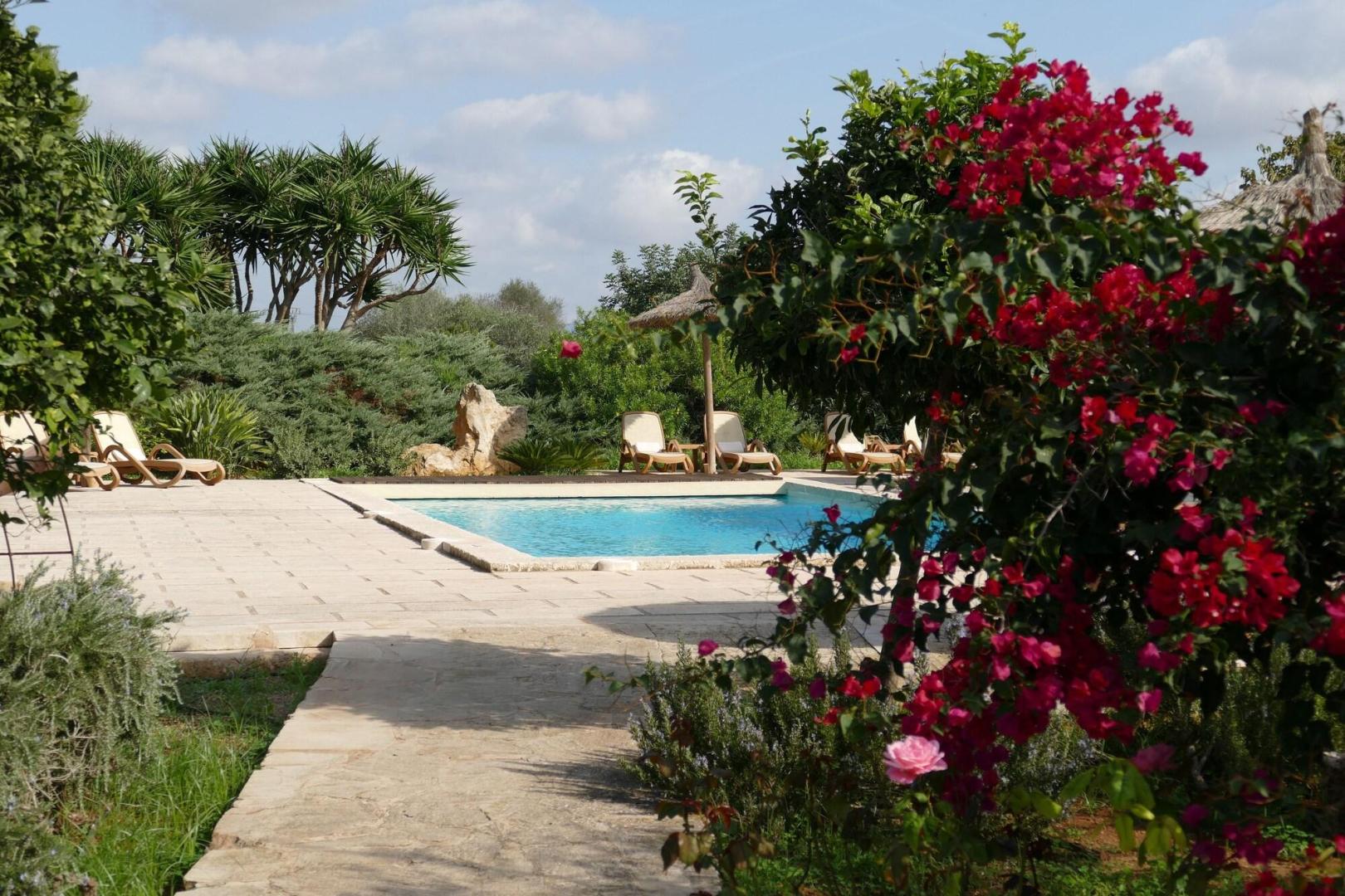 Finca Sa Carrotja foto 19