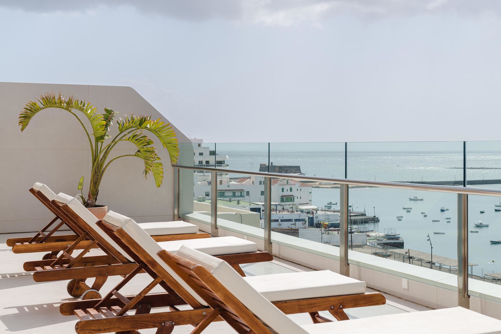 Plus Fariones Habitat image 0