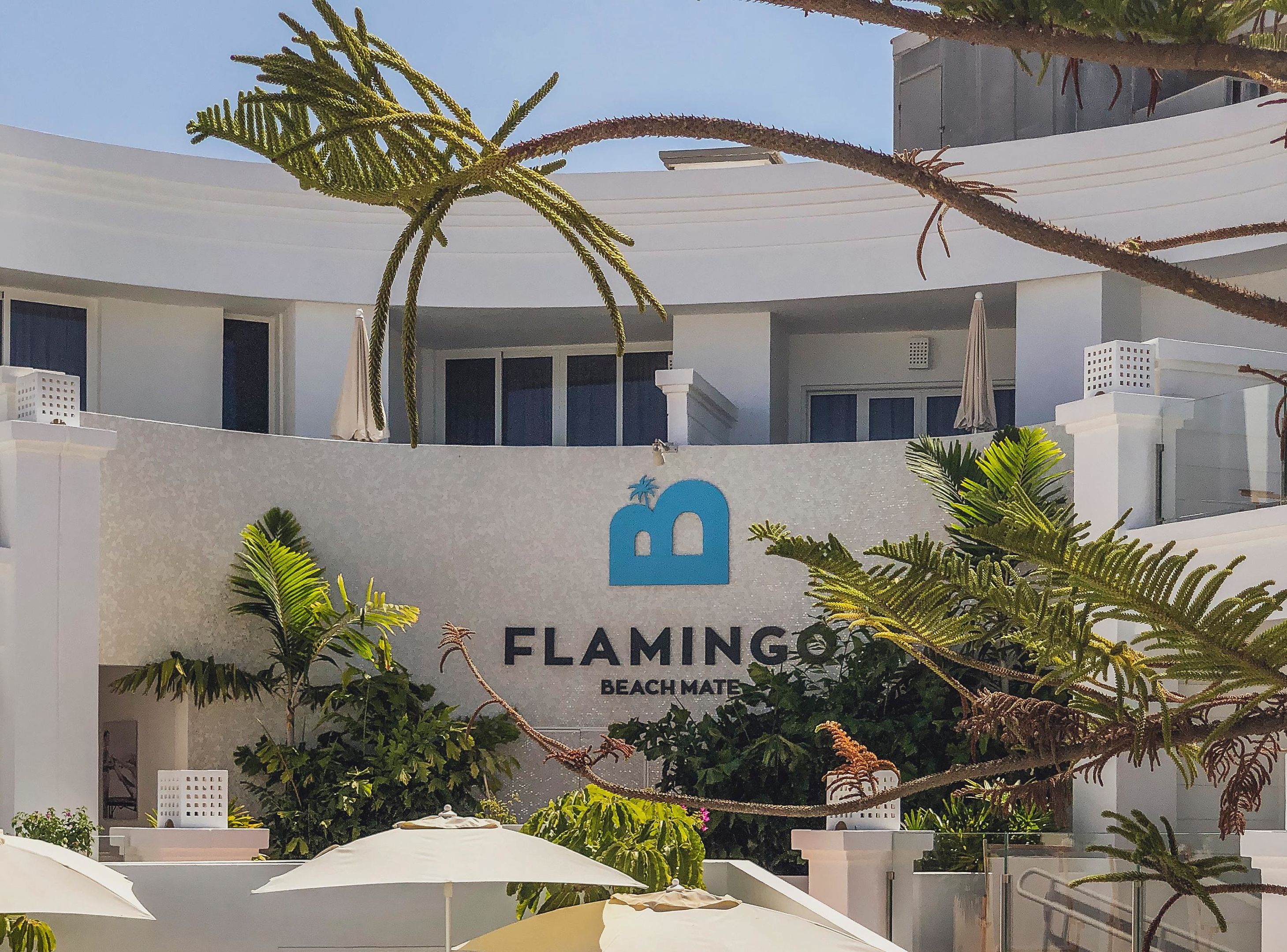 Flamingo Beach Mate foto 6