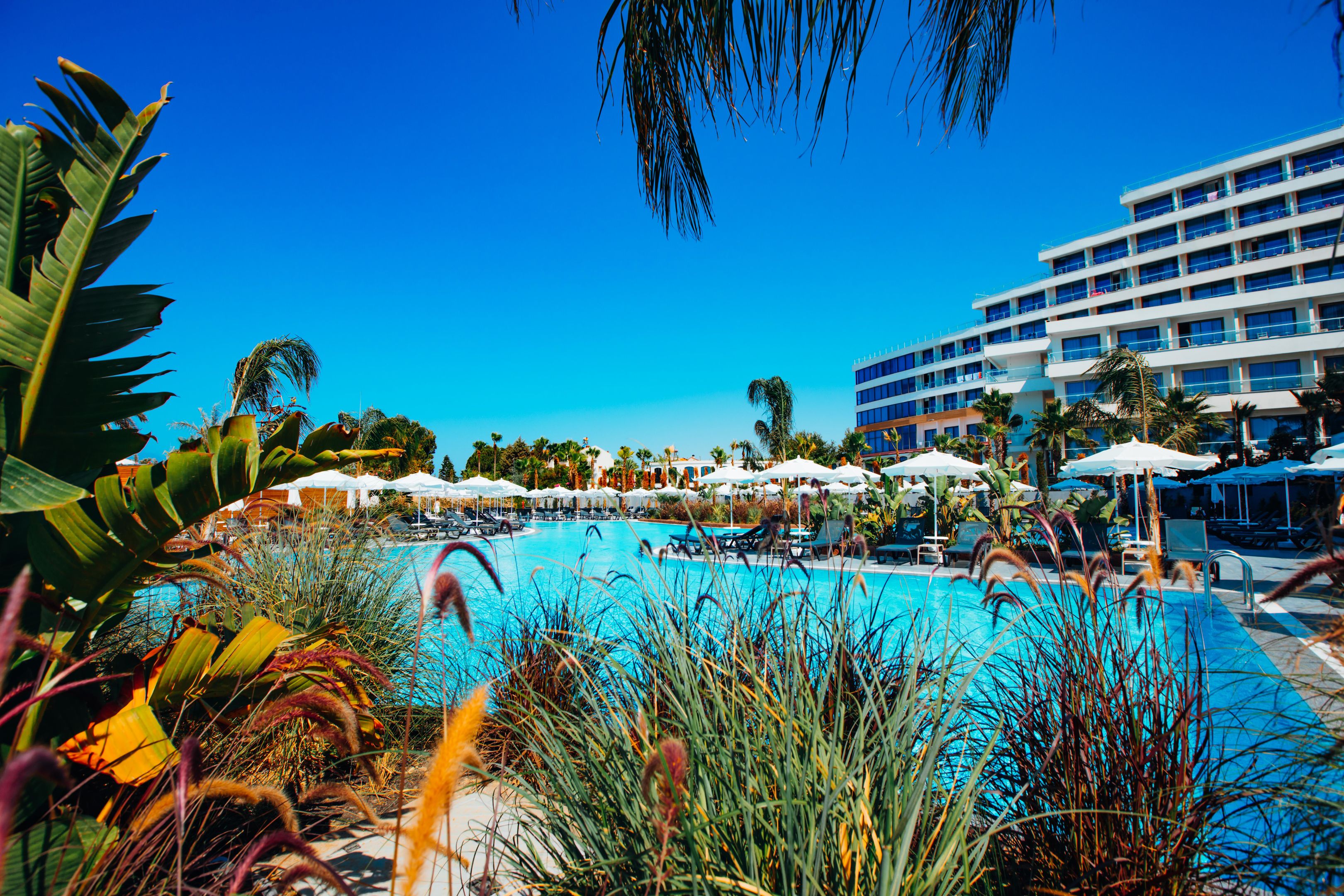 Alarcha Hotels & Resort foto 24