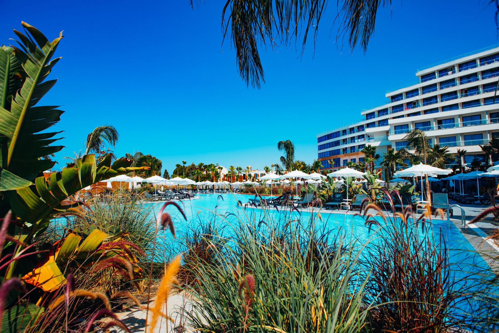 Alarcha Hotels & Resort foto 23