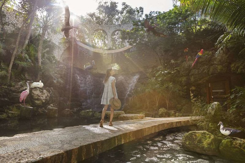 Hotel Xcaret Arte foto 8