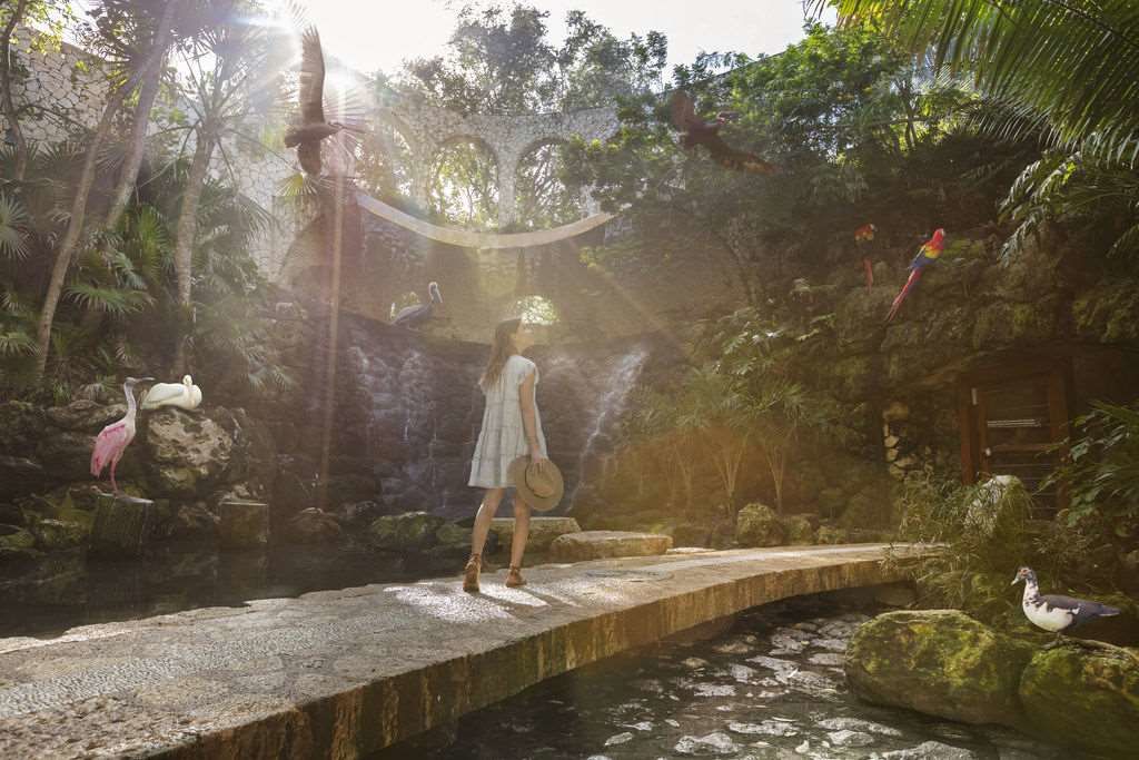 Hotel Xcaret Arte foto 9