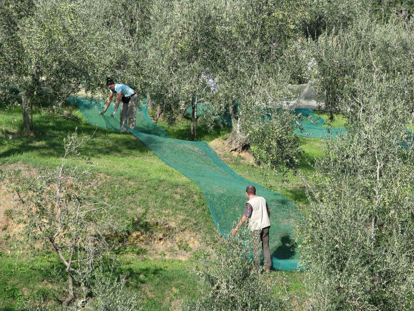 La Piana B&B foto 42