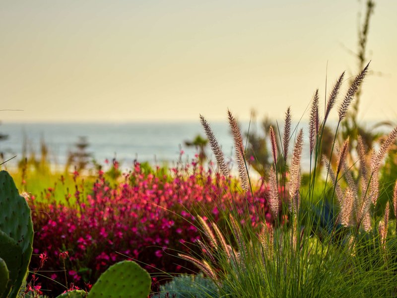 Fairmont Taghazout Bay foto 97