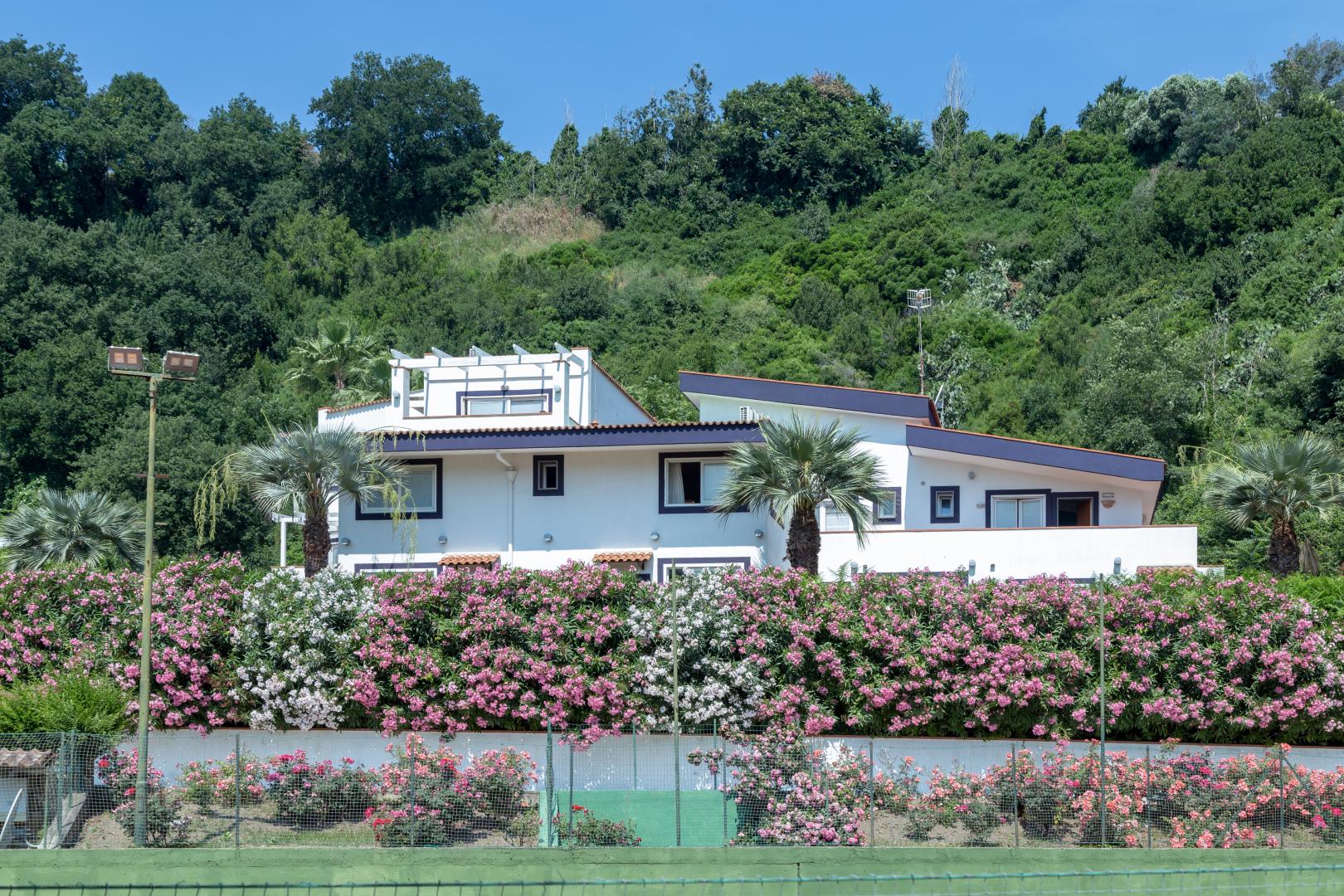 Agave Hotel foto 16