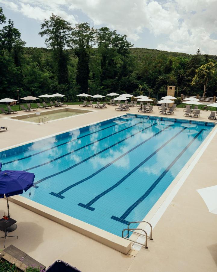 een bovenaanzicht van een groot zwembad bij Grand Hotel Telese in Telese