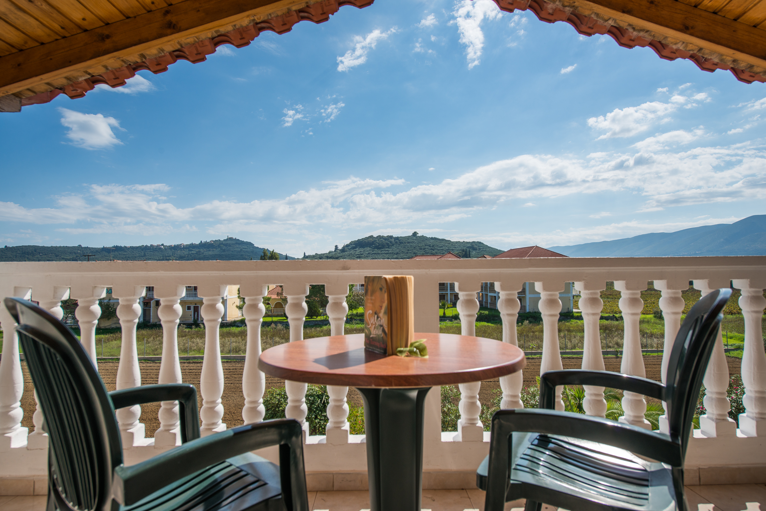 Hotel Plessas Palace image 2