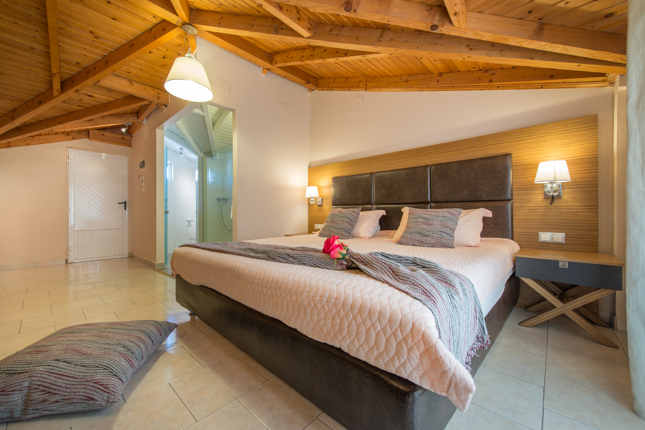 Hotel Plessas Palace foto 10