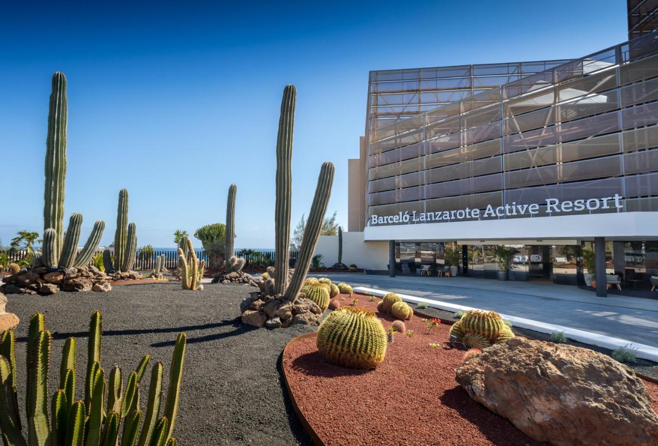 een verzameling cactussen voor een gebouw bij Barceló Lanzarote Royal Level in Costa Teguise