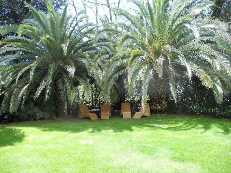 Hotel Franceschi – Villa Mimosa foto 19