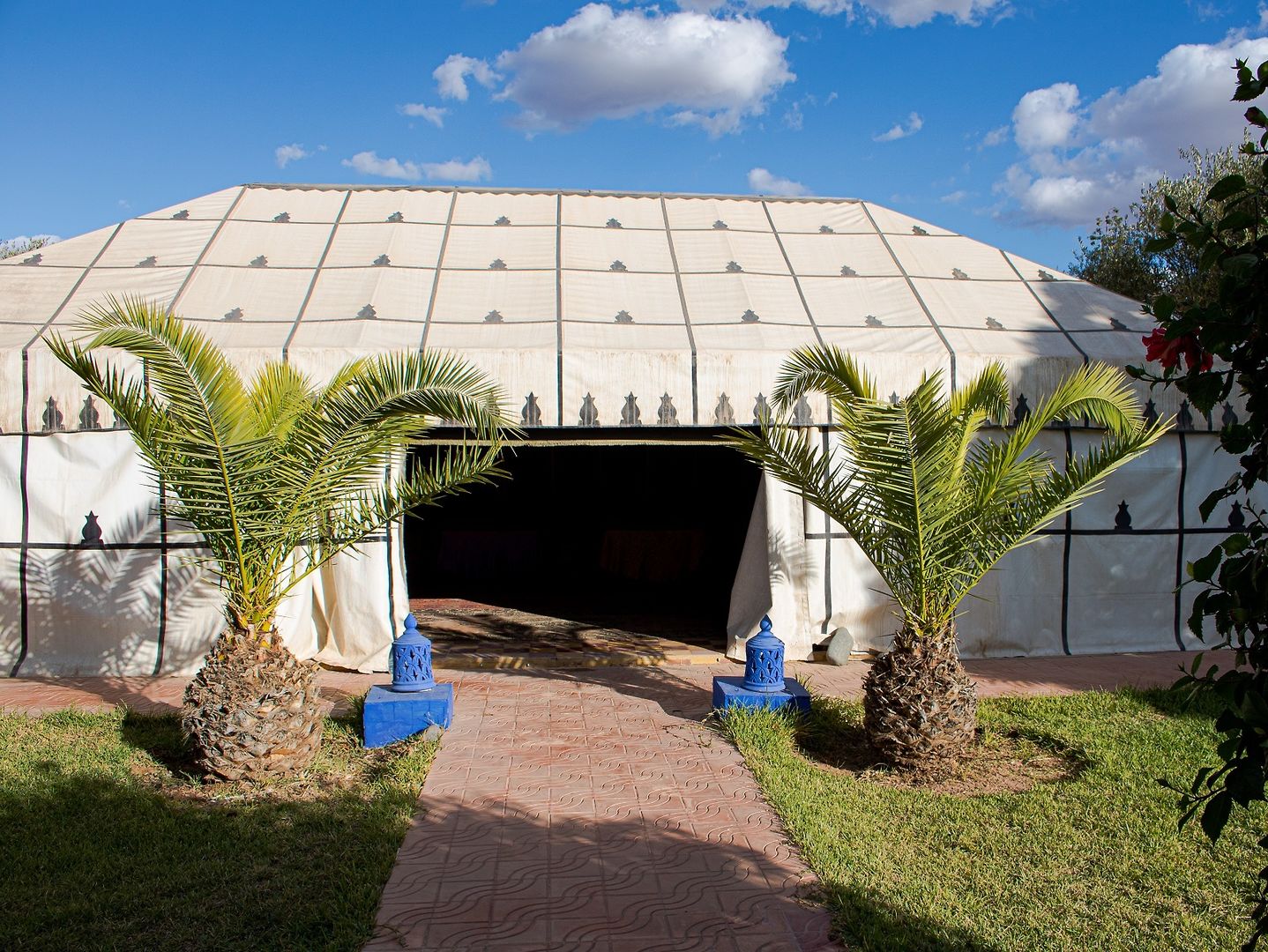 Las Palmeras image 3