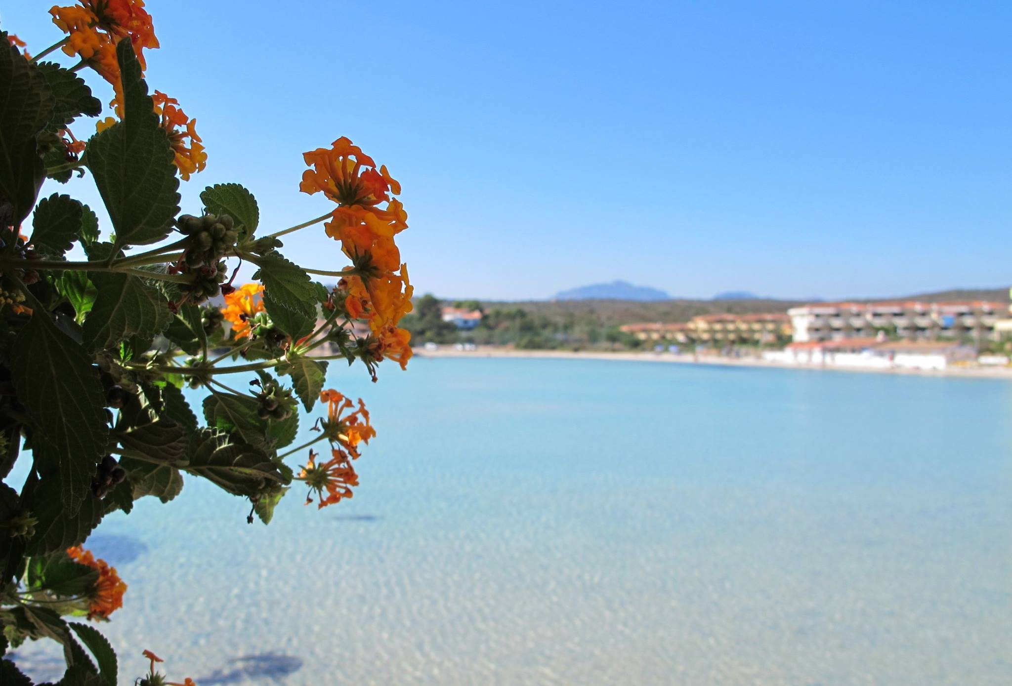Gabbiano Azzurro Hotel & Suites foto 40