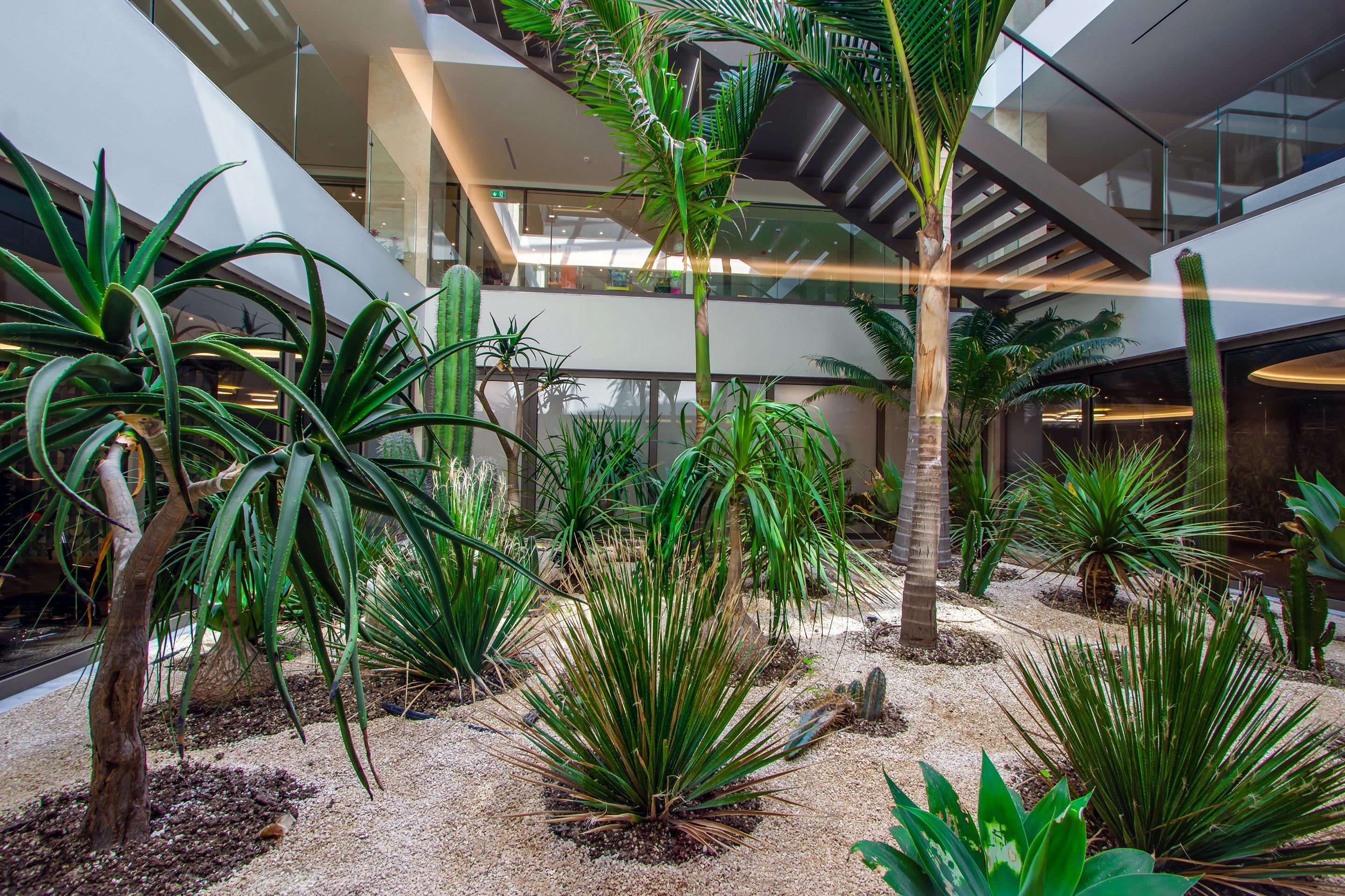 Ammoa Luxury Hotel & Spa Resort foto 399