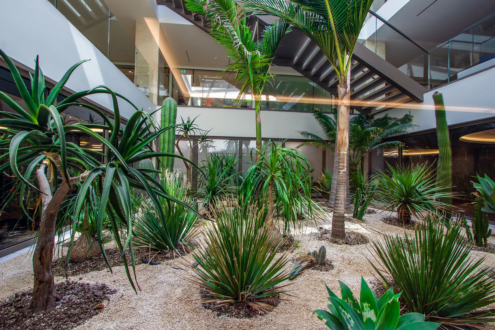 Ammoa Luxury Hotel & Spa Resort foto 398