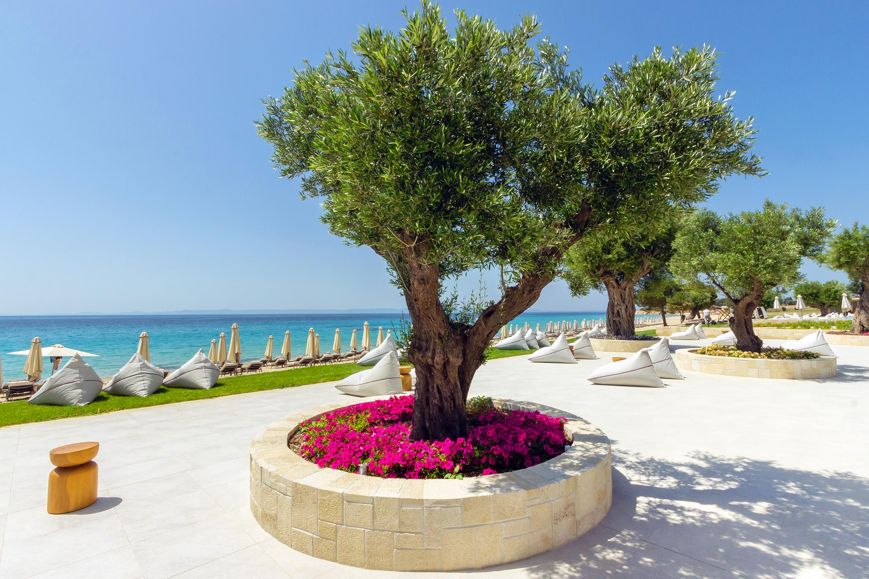 Ammoa Luxury Hotel & Spa Resort foto 231