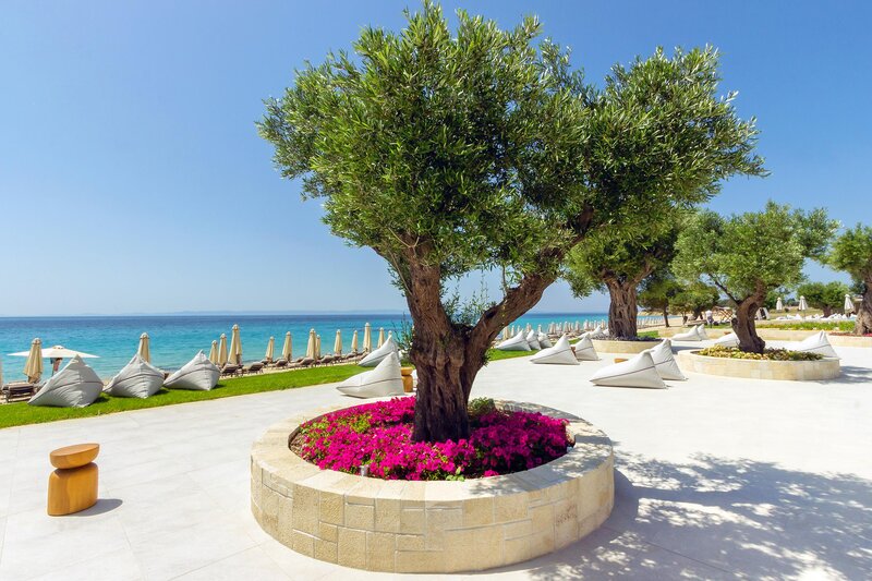 Ammoa Luxury Hotel & Spa Resort foto 229
