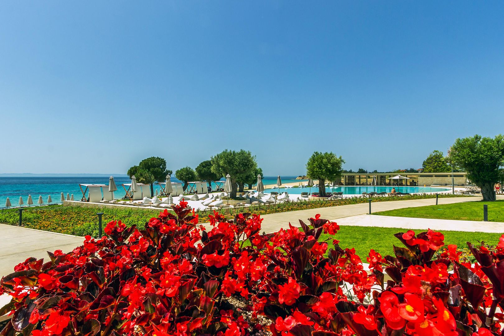 Ammoa Luxury Hotel & Spa Resort foto 332